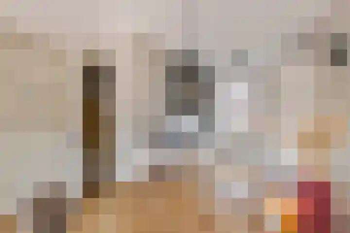 Haarakker 25 Rhenoy thumbnail 7