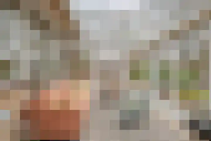 Haarboerhorst 10 Enschede thumbnail 19