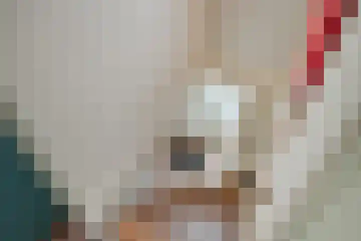 Haarboerhorst 10 Enschede thumbnail 34