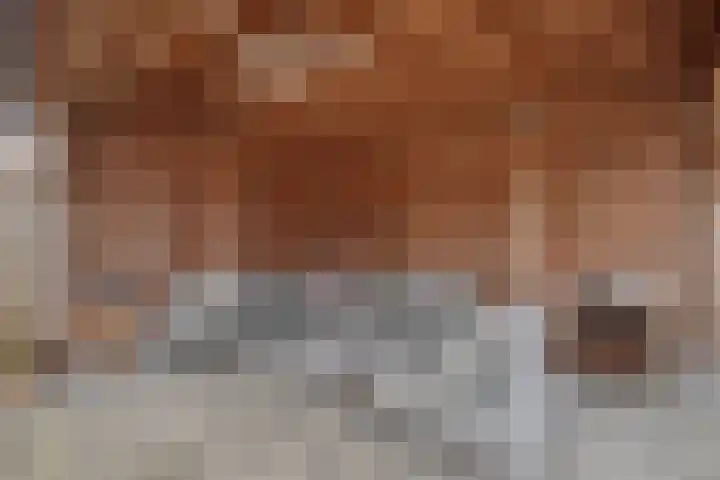 Haarboerhorst 10 Enschede thumbnail 62