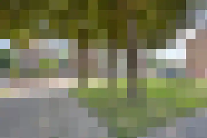 Haardboomstraat 17 Beek thumbnail 34