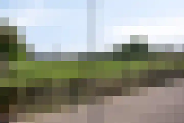 Haardboomstraat 17 Beek thumbnail 37