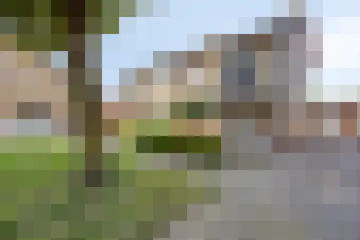 Haardboomstraat 17 Beek thumbnail 41