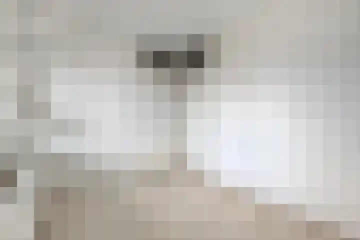 Haardstee 119 Amsterdam thumbnail 17