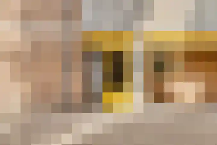 Haardstee 119 Amsterdam thumbnail 30