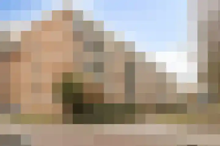 Haardstee 223 Amsterdam thumbnail 10