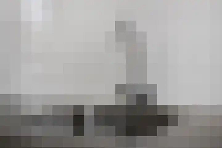 Haardstee 223 Amsterdam thumbnail 20