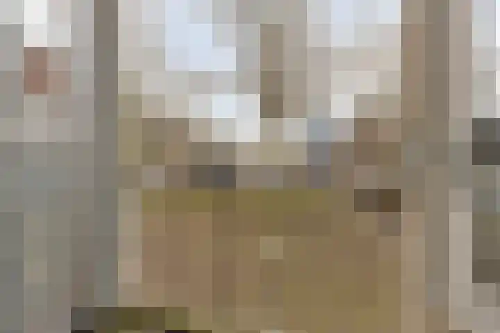 Haardstee 223 Amsterdam thumbnail 24
