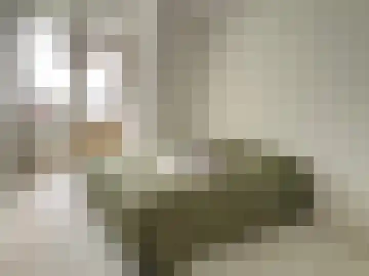 Haardstee 223 Amsterdam thumbnail 6