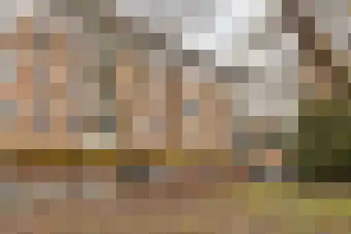 Haardstee 223 Amsterdam thumbnail 8