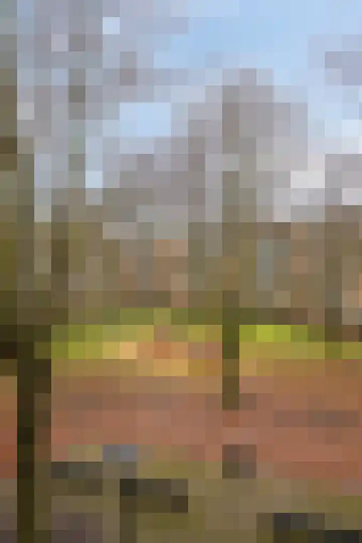 Haardstee 235 Amsterdam thumbnail 17