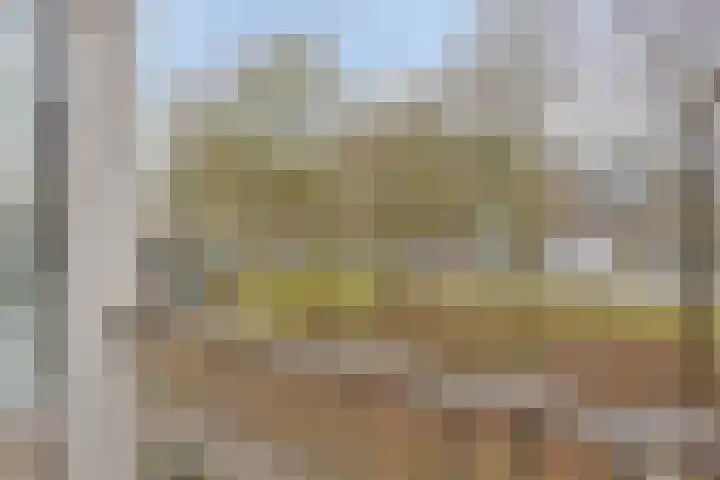 Haardstee 235 Amsterdam thumbnail 22
