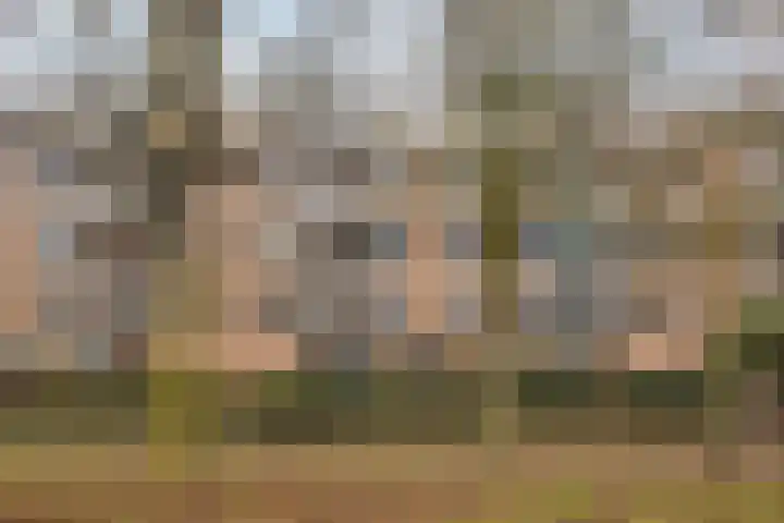 Haardstee 235 Amsterdam thumbnail 30