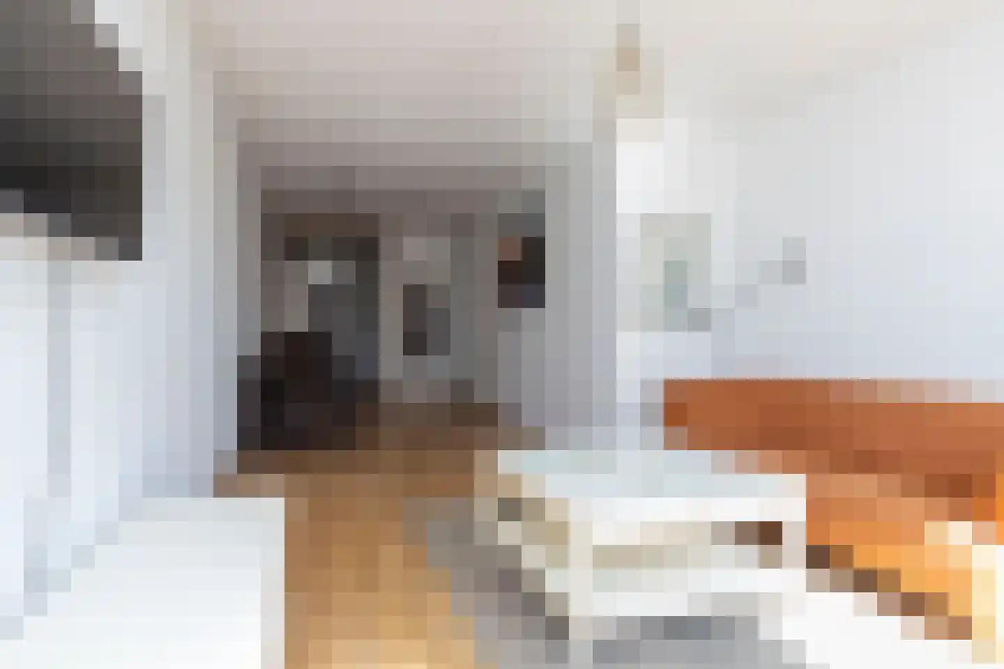 Haardstee 94 Amsterdam thumbnail 14