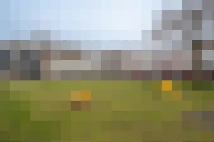Haarlebrink 33 Enschede thumbnail 29