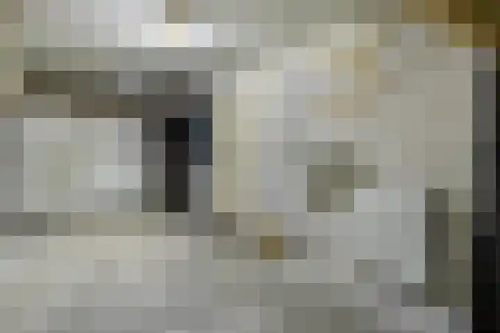 Haarpad 9 Vleuten thumbnail 16