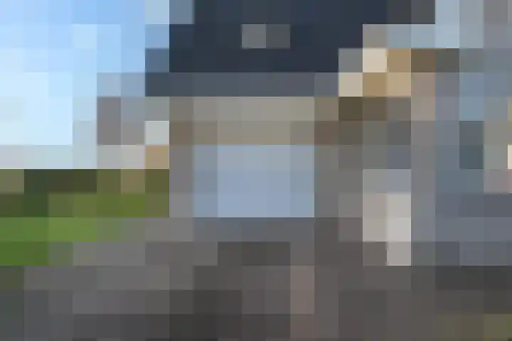 Haarpad 9 Vleuten thumbnail 31