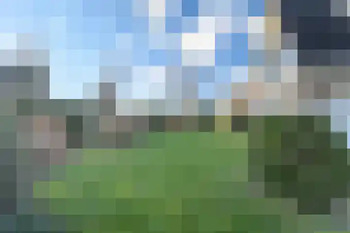 Haarpad 9 Vleuten thumbnail 33