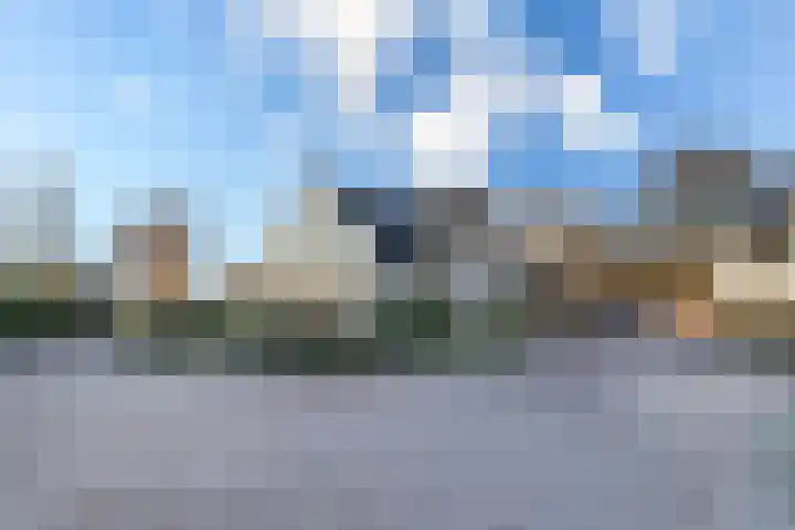 Haarpad 9 Vleuten thumbnail 36