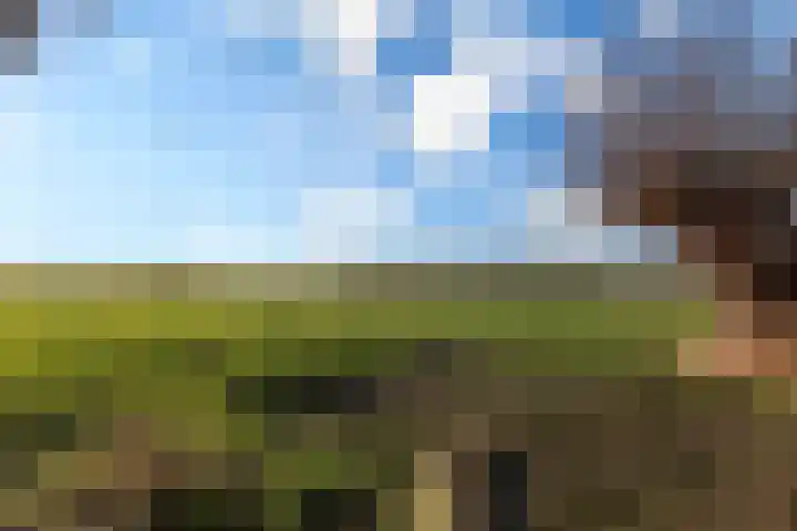 Haarpad 9 Vleuten thumbnail 38