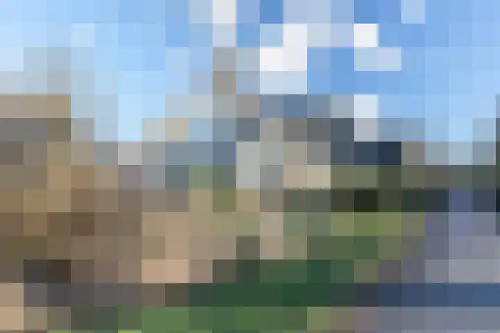 Haarpad 9 Vleuten thumbnail 40