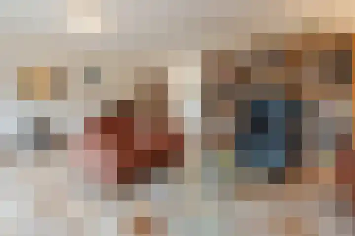 Haarskamp 40 Ruurlo thumbnail 10