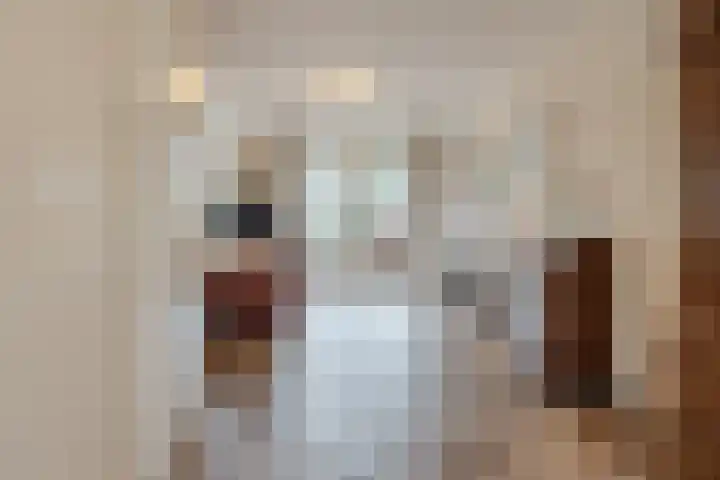 Haarskamp 40 Ruurlo thumbnail 12