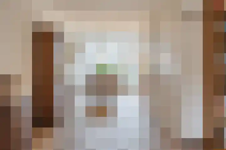 Haarskamp 40 Ruurlo thumbnail 13