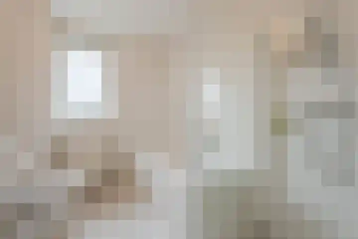 Haarskamp 40 Ruurlo thumbnail 23