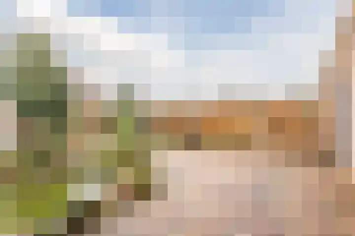 Haarskamp 40 Ruurlo thumbnail 34