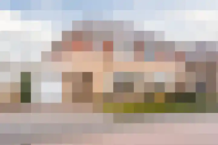 Haarskamp 40 Ruurlo thumbnail 35
