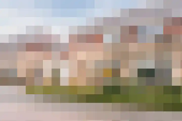Haarskamp 40 Ruurlo thumbnail 37