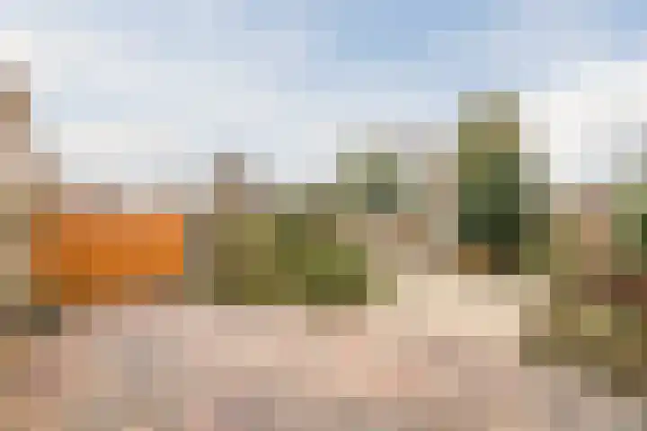 Haarskamp 40 Ruurlo thumbnail 5