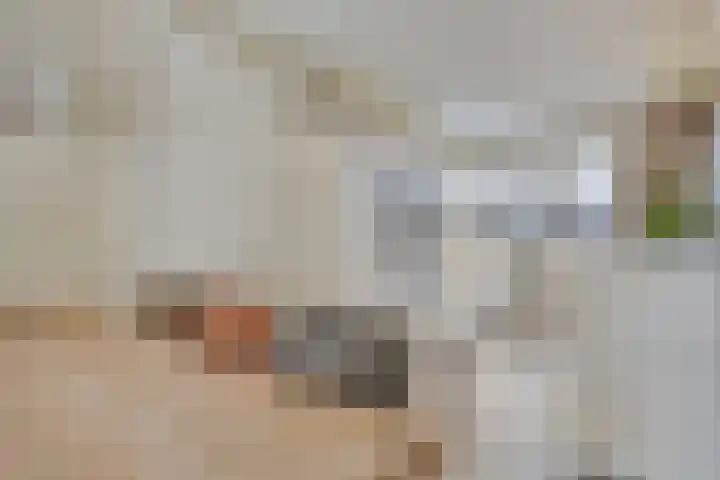 Haarspit 15 Denekamp thumbnail 10