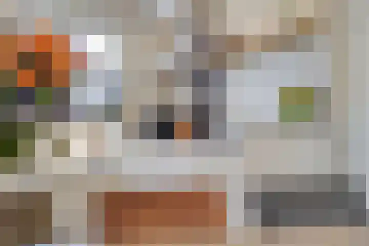 Haarspit 15 Denekamp thumbnail 11