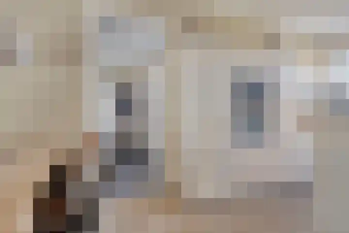 Haarspit 15 Denekamp thumbnail 14