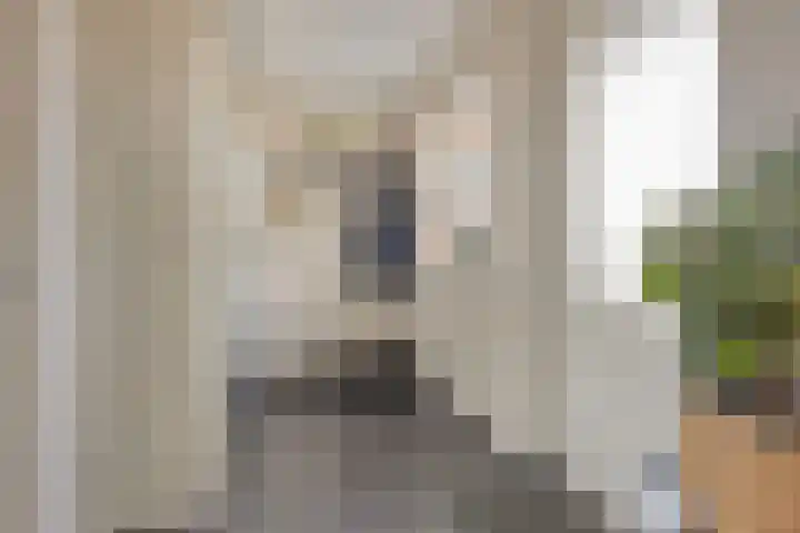 Haarspit 15 Denekamp thumbnail 15