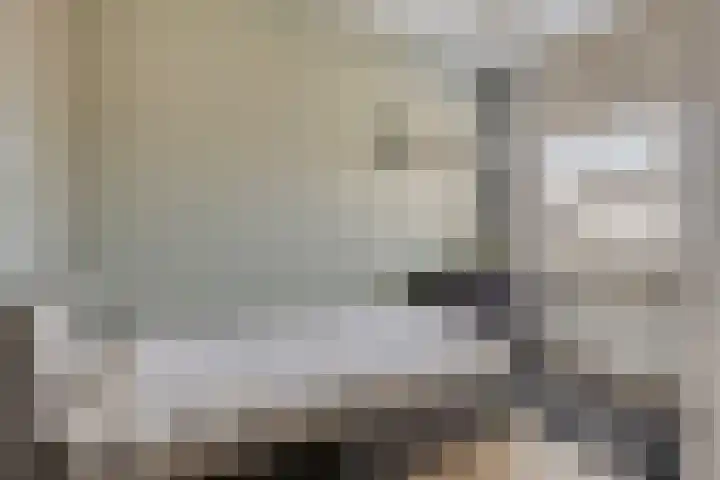 Haarspit 15 Denekamp thumbnail 23