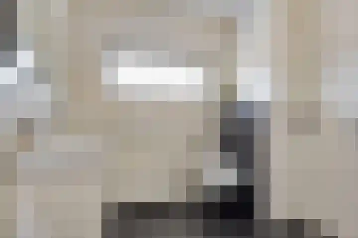 Haarspit 15 Denekamp thumbnail 25