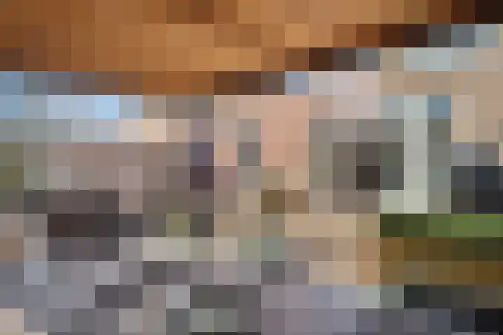 Haarspit 15 Denekamp thumbnail 30