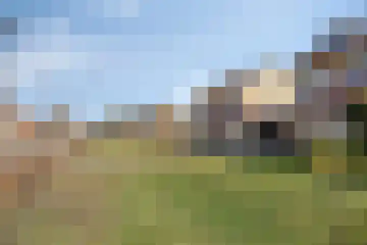 Haarspit 15 Denekamp thumbnail 35