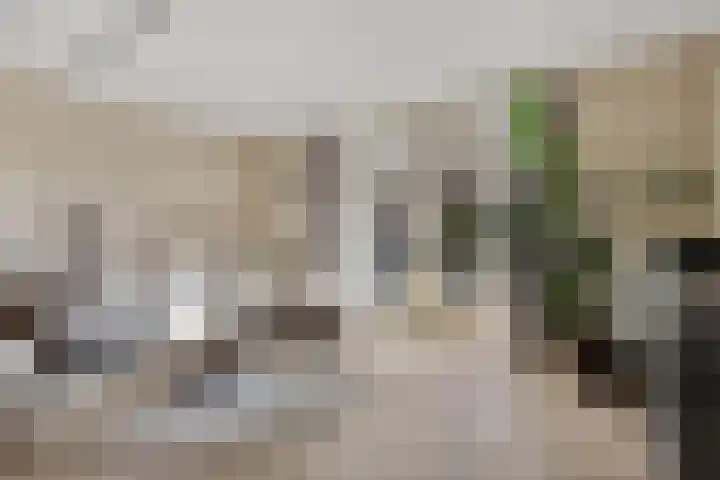 Haarspit 15 Denekamp thumbnail 6
