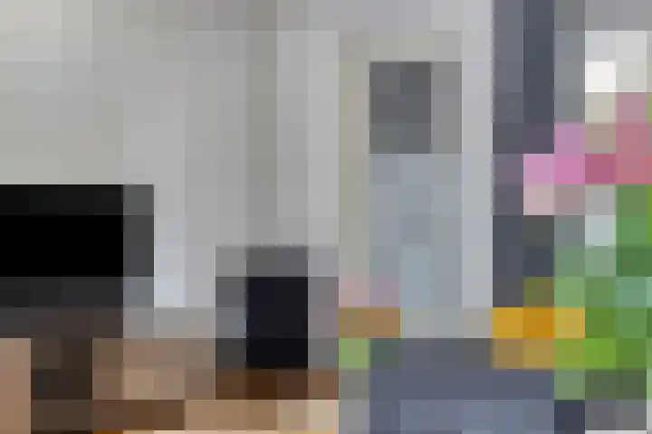 Haarspit 23 Denekamp thumbnail 5