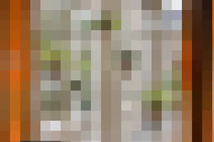 Haarspit 55 Denekamp thumbnail 15