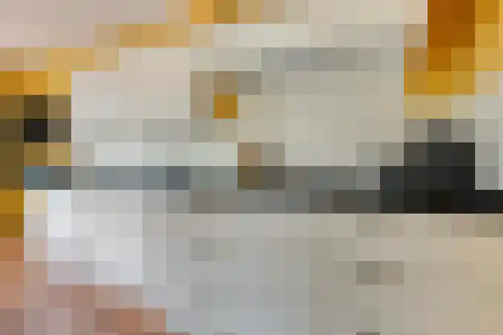 Haarspit 55 Denekamp thumbnail 18