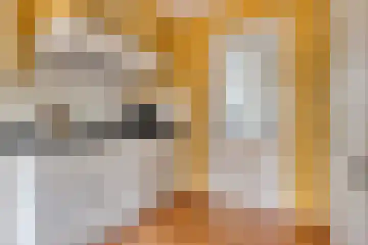 Haarspit 55 Denekamp thumbnail 21