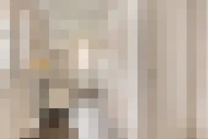 Haarspit 55 Denekamp thumbnail 22