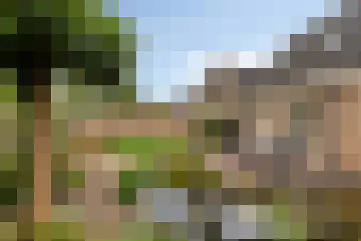 Haarspit 55 Denekamp thumbnail 41