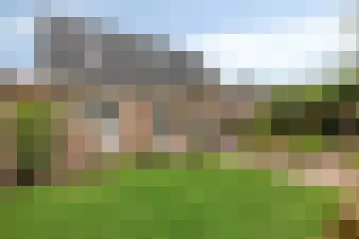 Haarspit 55 Denekamp thumbnail 44