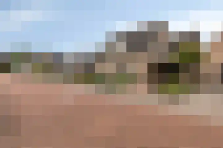 Haarspit 55 Denekamp thumbnail 46